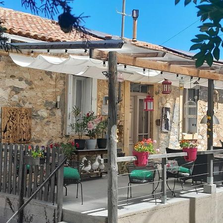 Sur La Bonnefooi Bed and Breakfast Prades-sur-Vernazobre Εξωτερικό φωτογραφία